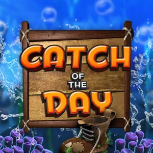 Catch of the Day