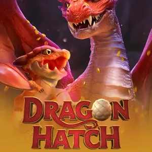 Dragon Hatch