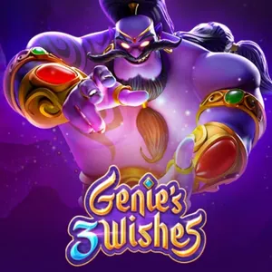 Genie’s Wishes
