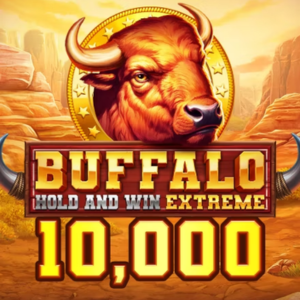 Buffalo 10K Ways