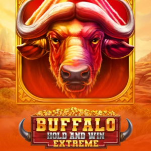 Buffalo Hold and Win