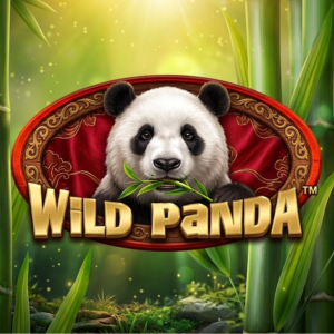Wild Panda